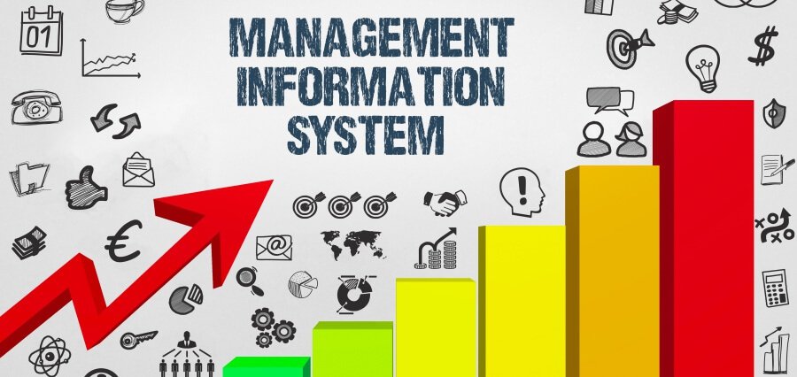 Identifying the Key Elements of MIS